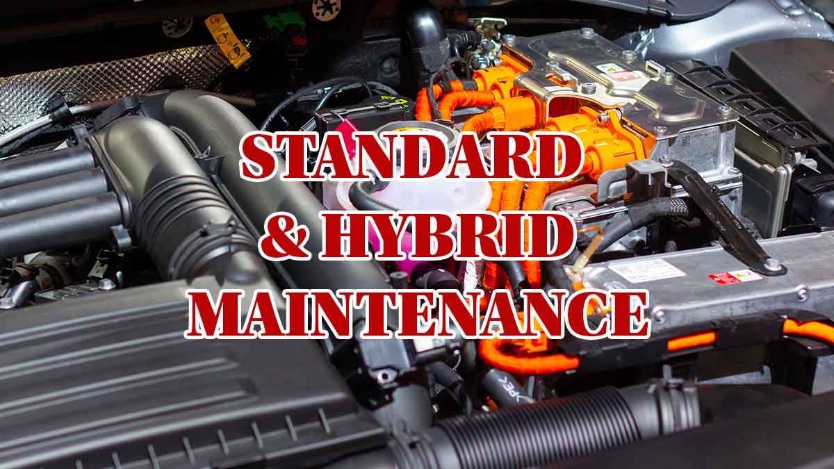 Standard-and-Hybrid-Maintenance