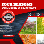 Four seasons of hybrid maintenance